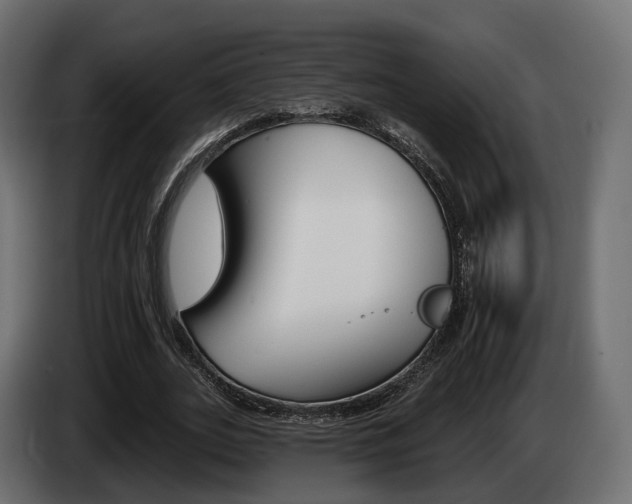 X0000085040727200703051025