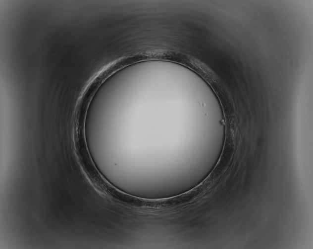 X0000085040728200703051025