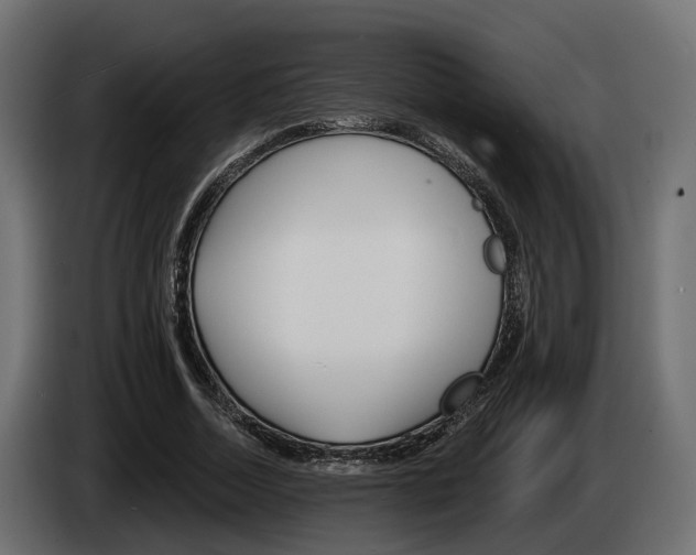 X0000085040730200703051025