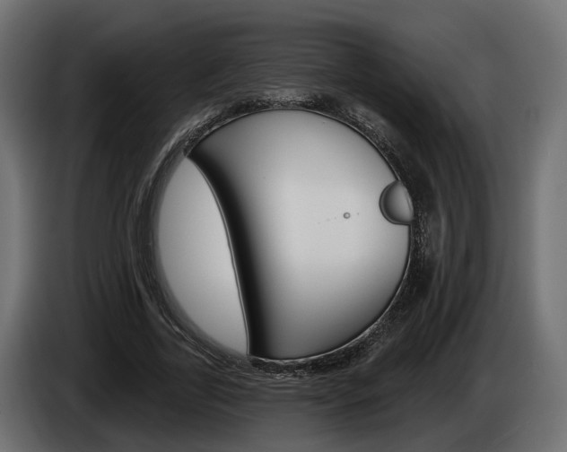 X0000085040731200703051025