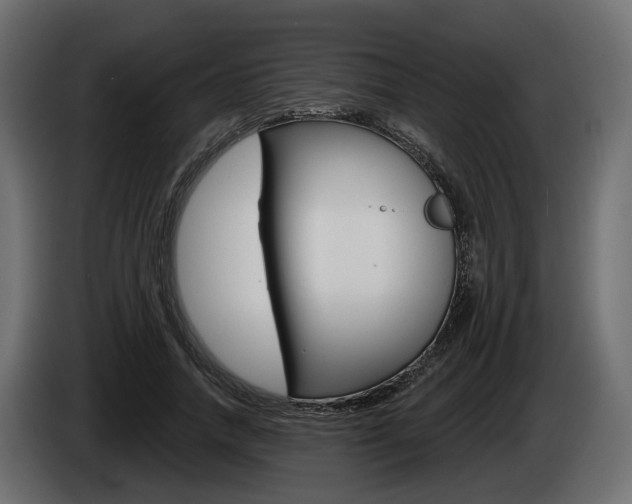 X0000085040738200703051025