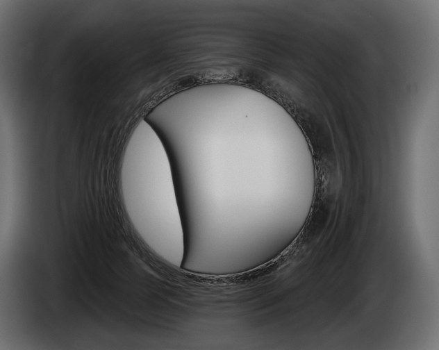 X0000085040745200703051025