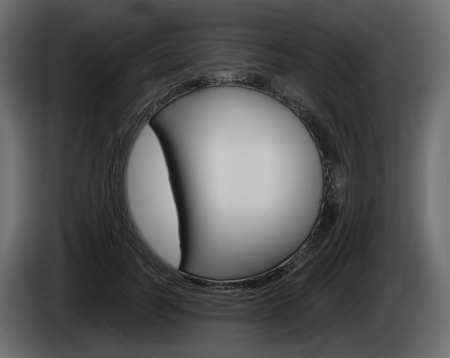 X0000085040746200703051025