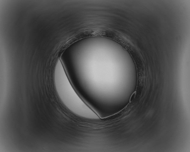X0000085040748200703051025