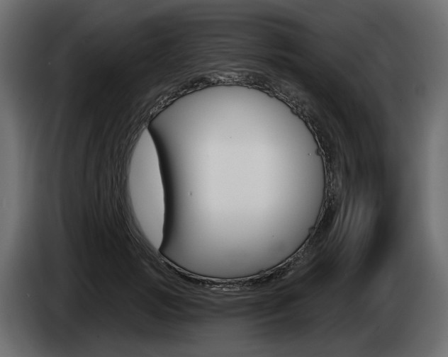X0000085040749200703051025