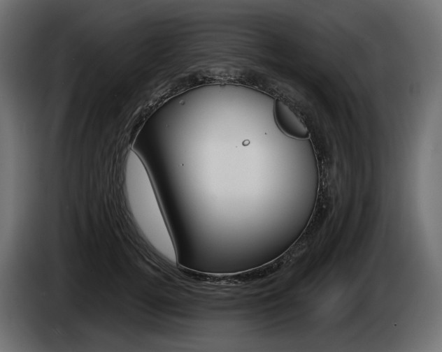 X0000085040752200703051025