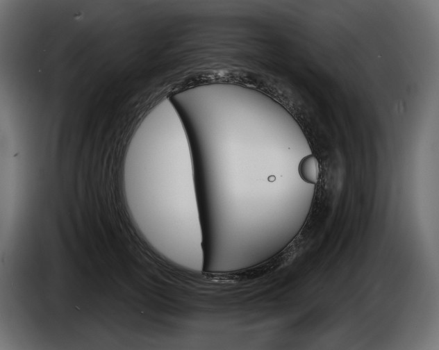 X0000085040754200703051025
