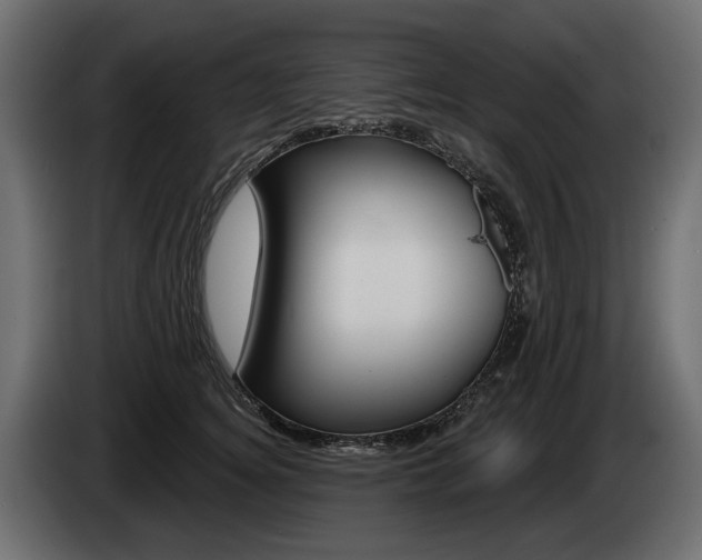 X0000085040756200703051025