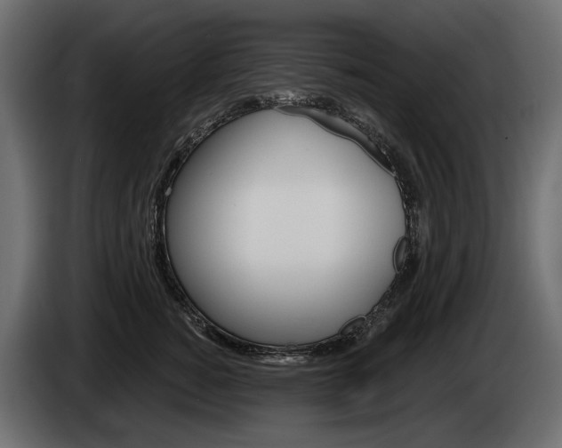 X0000085040760200703051025