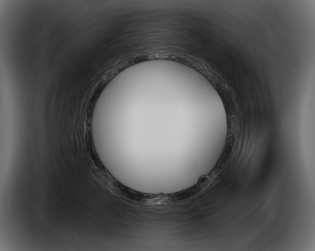 X0000085040761200703051025
