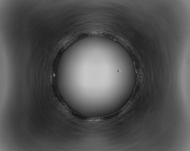 X0000085040762200703051025