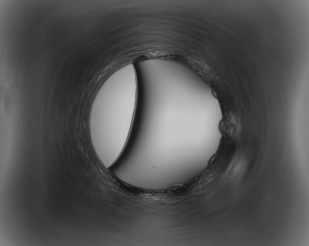 X0000085040763200703051025