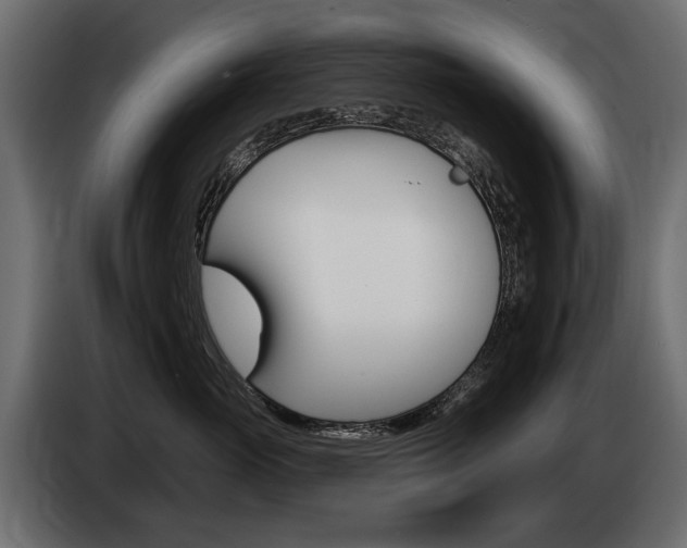 X0000085040765200703051025