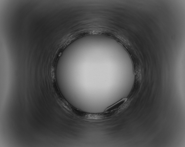 X0000085040766200703051025