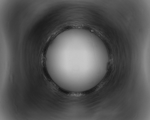X0000085040767200703051025