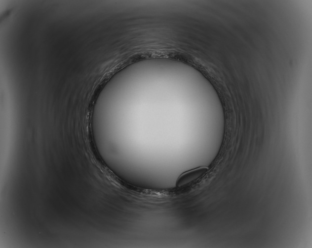 X0000085040768200703051025