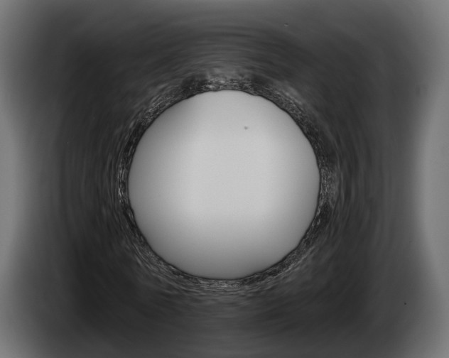 X0000085040770200703051025