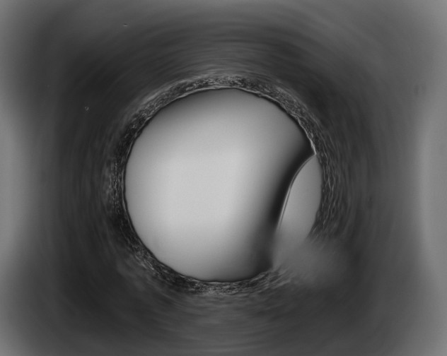 X0000085040773200703051024