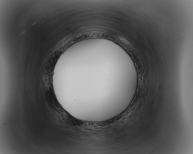 X0000085040774200703051024