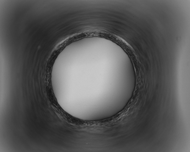 X0000085040775200703051024