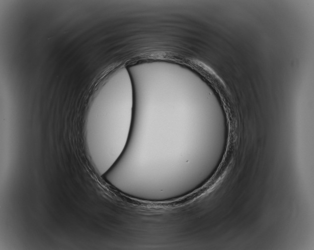 X0000085040777200703051024