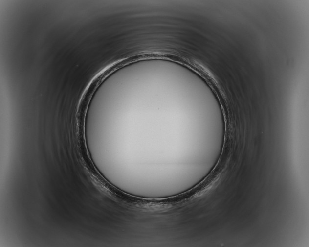 X0000085040779200703051024