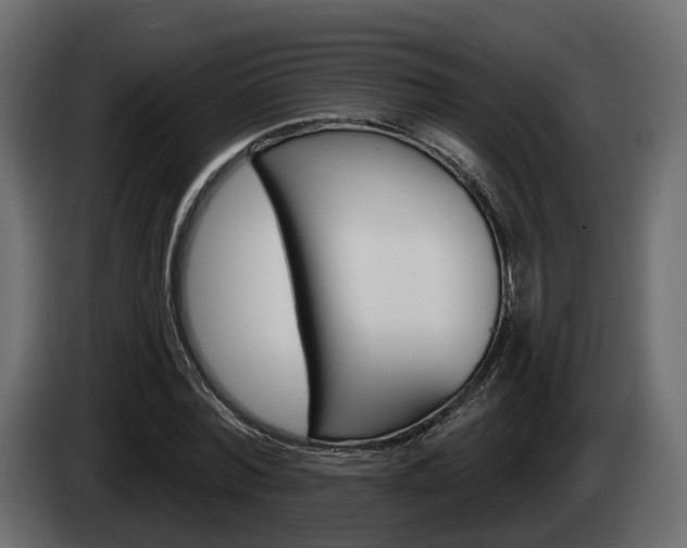 X0000085040780200703051024