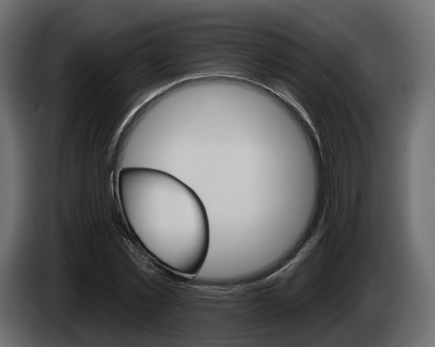 X0000085040781200703051024