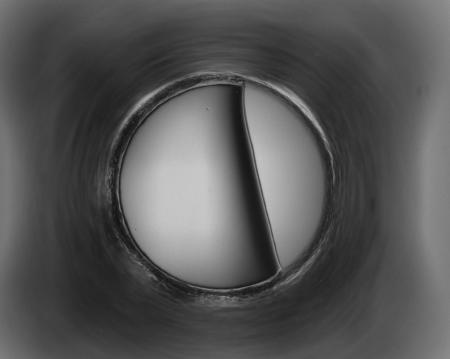 X0000085040783200703051024