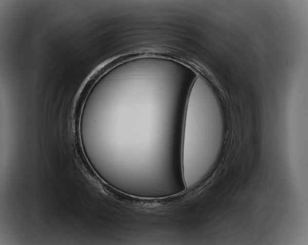 X0000085040784200703051024
