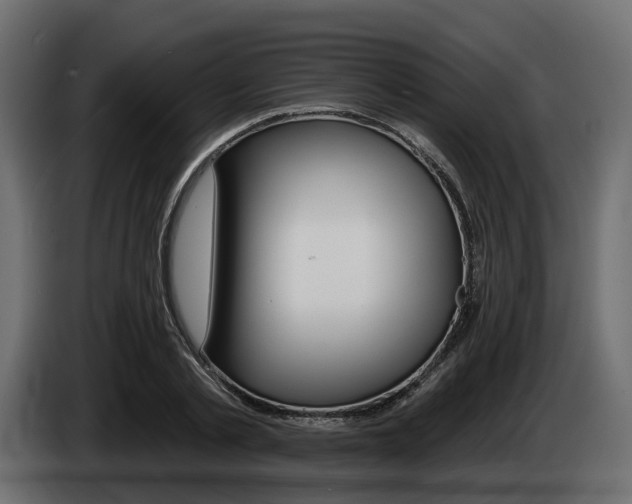 X0000085040789200703051024