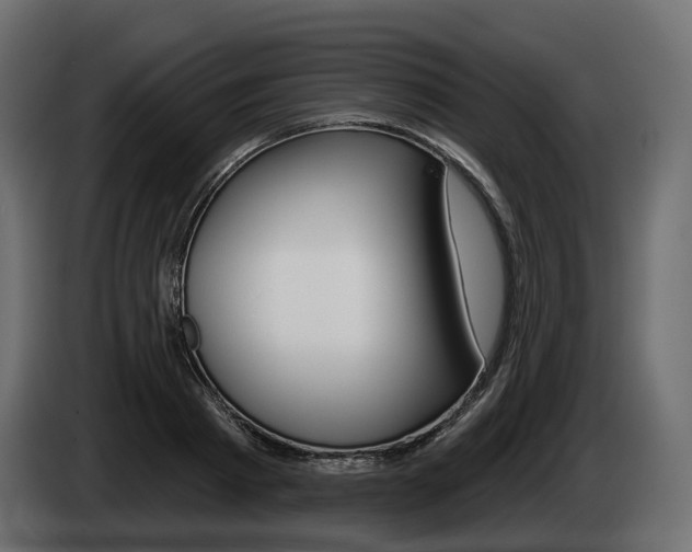 X0000085040793200703051024