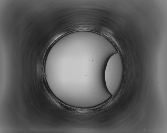 X0000085040794200703051024