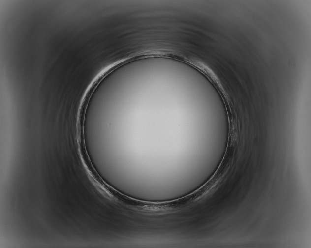 X0000085040795200703051024