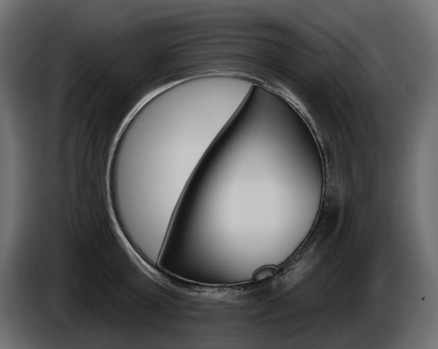 X0000085040803200703051024