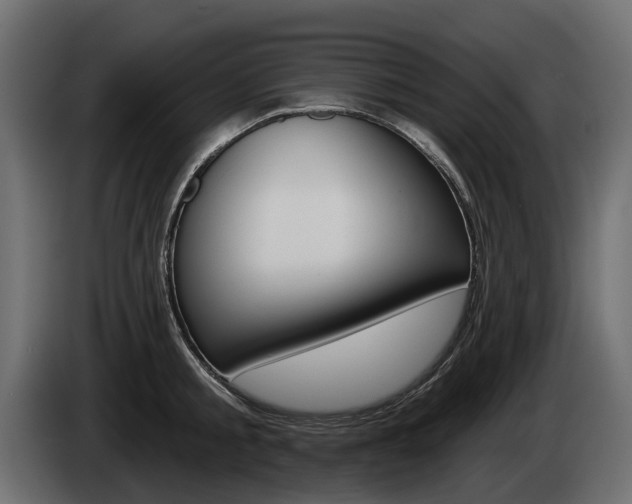 X0000085040805200703051024