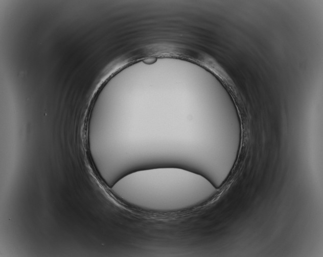 X0000085040806200703051024