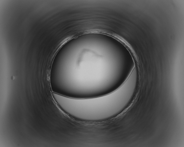 X0000085040809200703051024