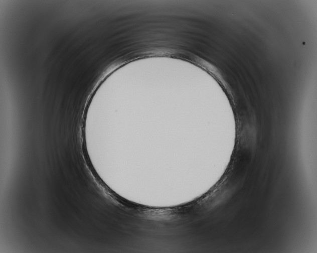 X0000085040810200703051024