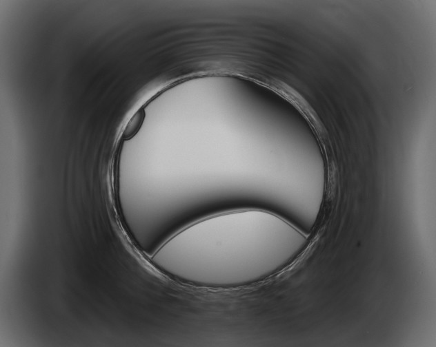 X0000085040812200703051024
