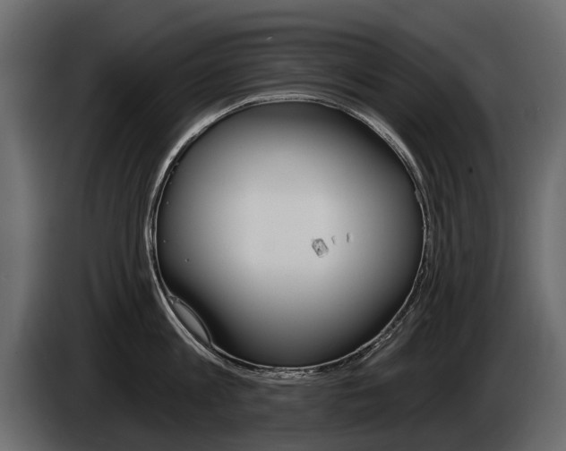 X0000085040813200703051024