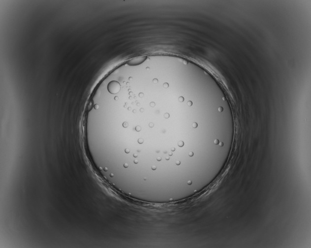 X0000085040814200703051024
