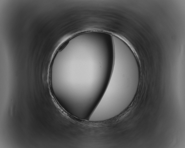X0000085040815200703051024