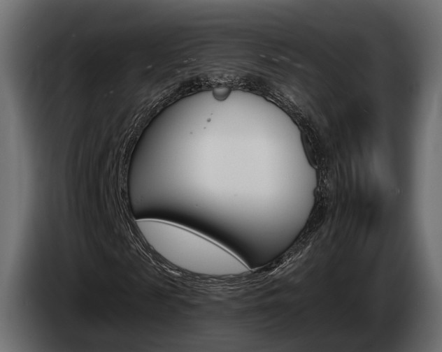 X0000085040817200703051023