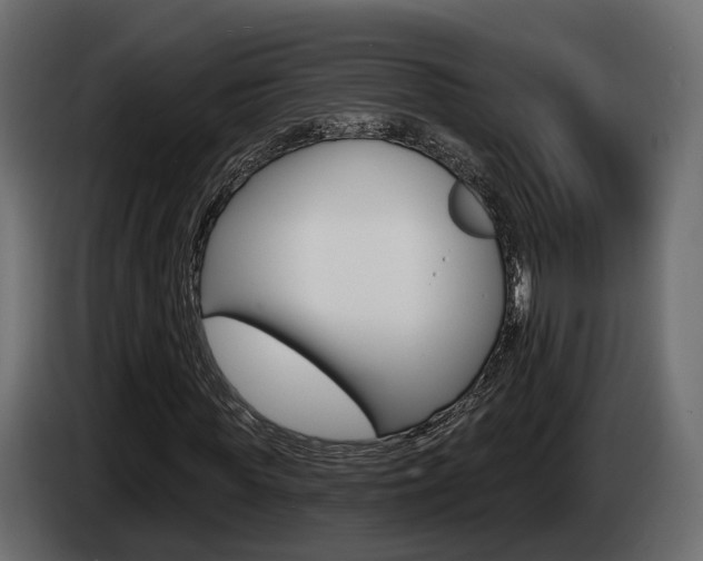 X0000085040819200703051023