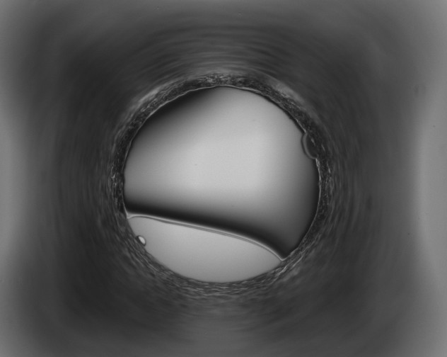 X0000085040822200703051023
