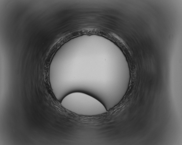 X0000085040823200703051023