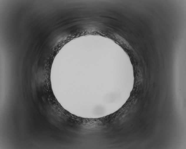 X0000085040824200703051023