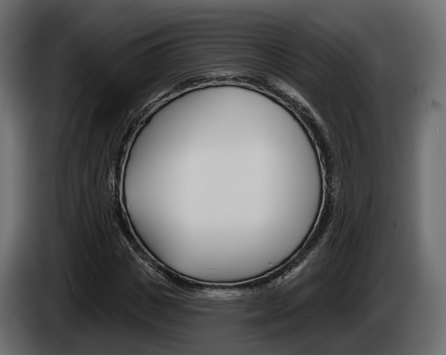 X0000085040825200703051023