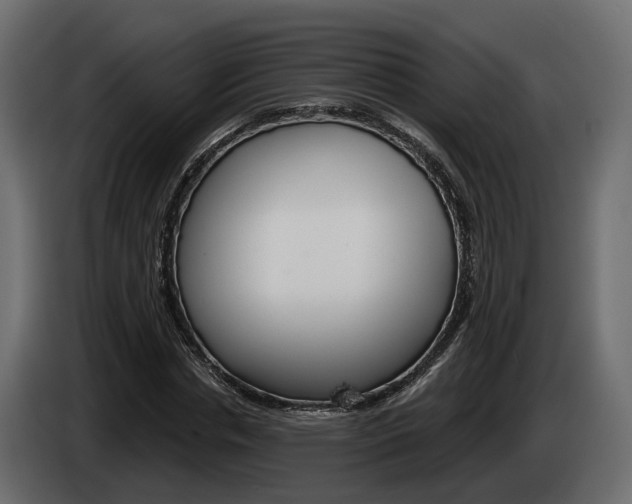 X0000085040826200703051023